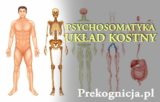 PSYCHOSOMATYKA – Układ kostny: postawa i znaczenie choroby.