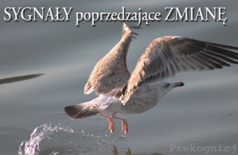 SYGNAŁY POPRZEDZAJĄCE ZMIANĘ
